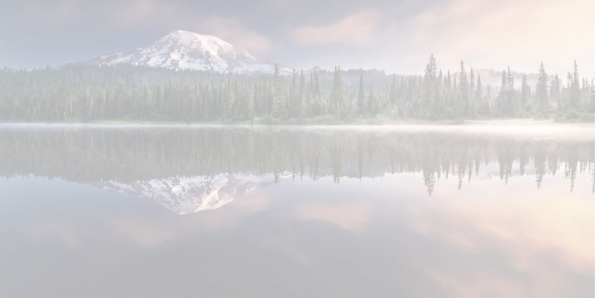 Thompson Consulting Group – Tacoma, WA – (253) 879-1250